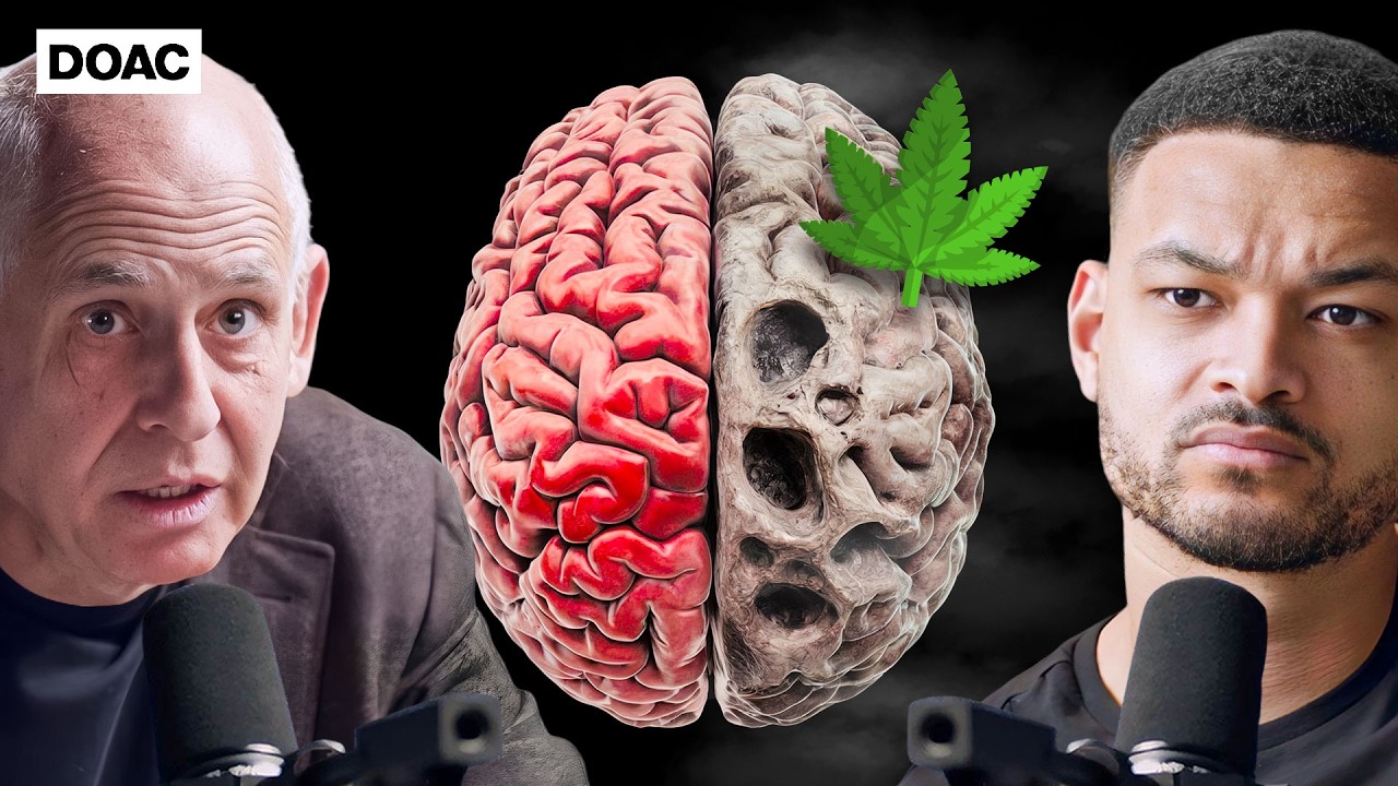 Mind Over Matter: Real-Life Roads to Brain Rot (and How to Dodge Them)